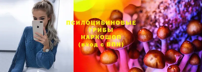 Псилоцибиновые грибы Psilocybine cubensis  что такое   Нижний Ломов 